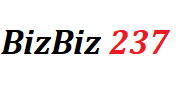 BizBiz237 - Site web d'annonces